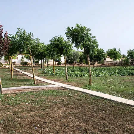 Son Juaneda ファームステイ