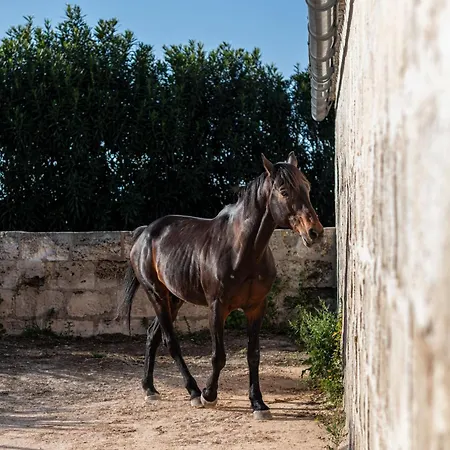 Son Juaneda Farm stay Ciutadella (Menorca)