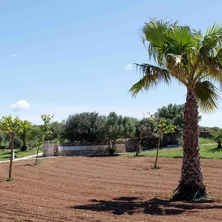 Farm stay Son Juaneda *