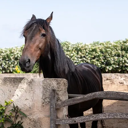 Son Juaneda Фермерский дом Сьюдадела